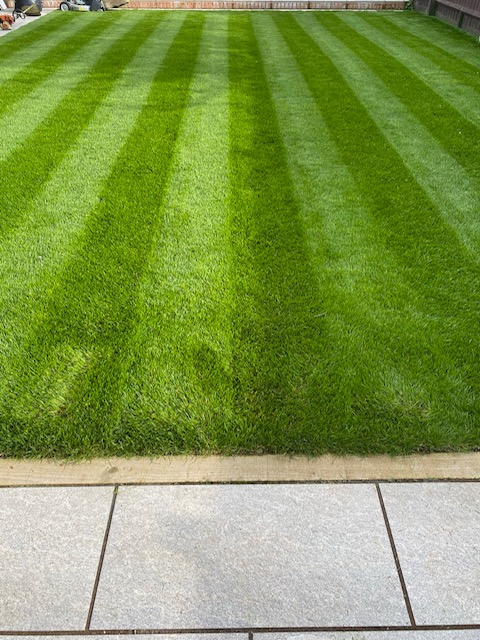 Reliable lawn care services in Aylesbury