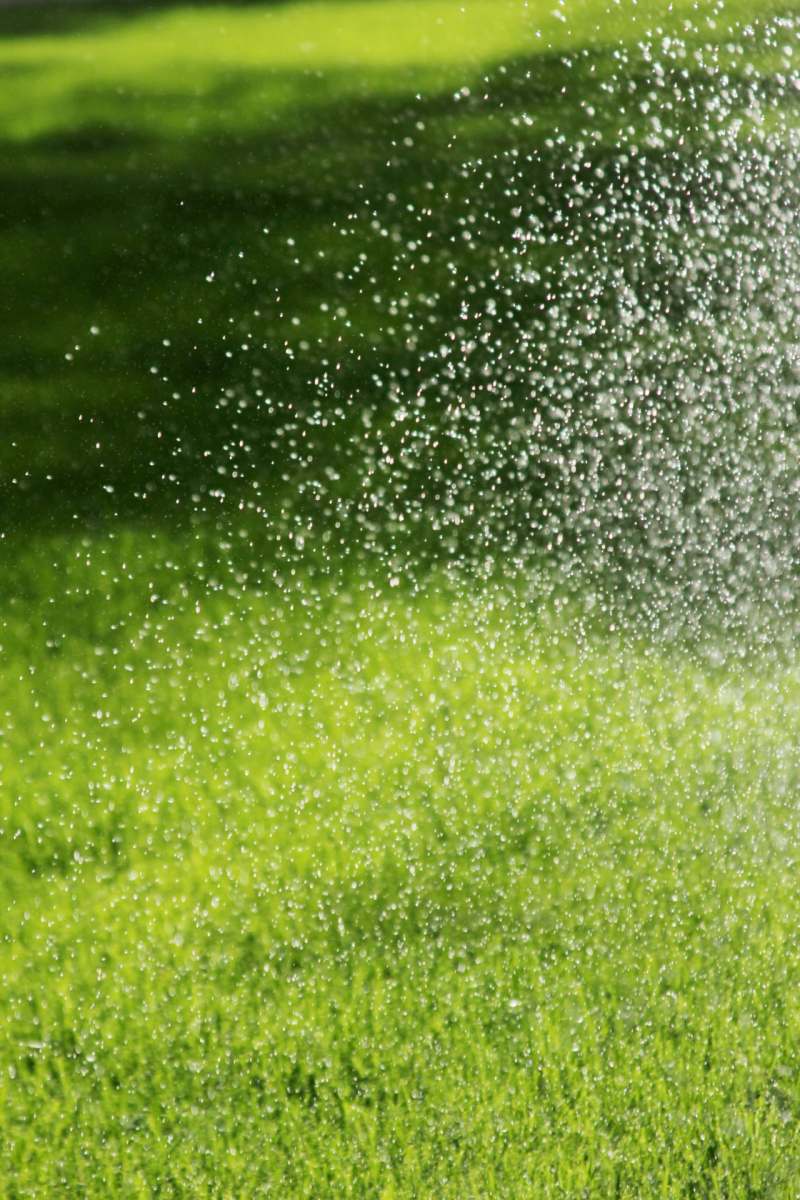 lawn-watering-2023-02-16-01-18-26-utc