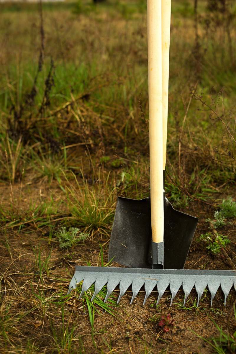 rake-and-shovel-is-inserted-into-the-ground-for-pl-2022-11-16-16-40-26-utc